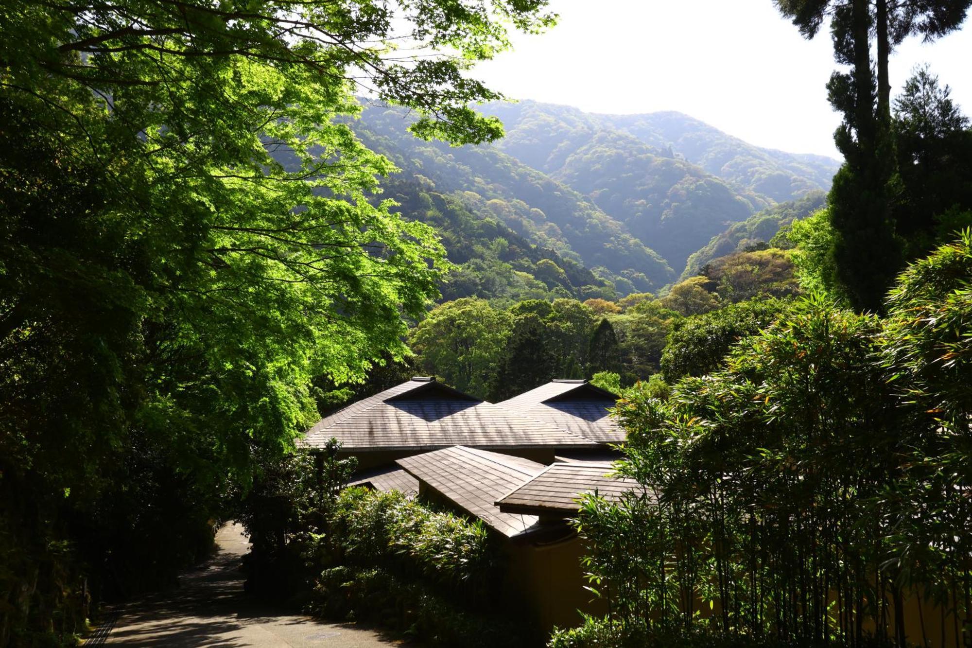 Hotel Oku Yugawara Tsubaki Exteriér fotografie